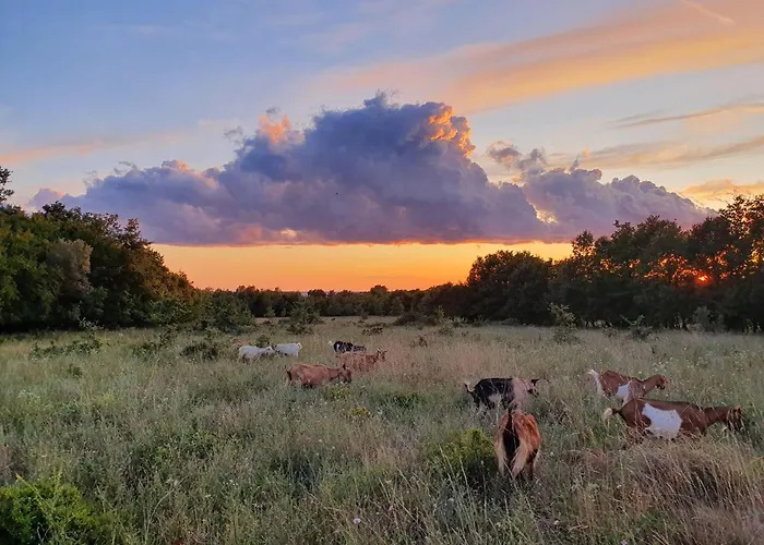 Kero New Value 2023 Fully Ac Apartman *