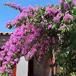 Kero New Value 2023 Fully Ac Пореч