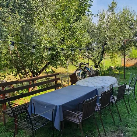 Kero New Value 2023 Fully Ac *