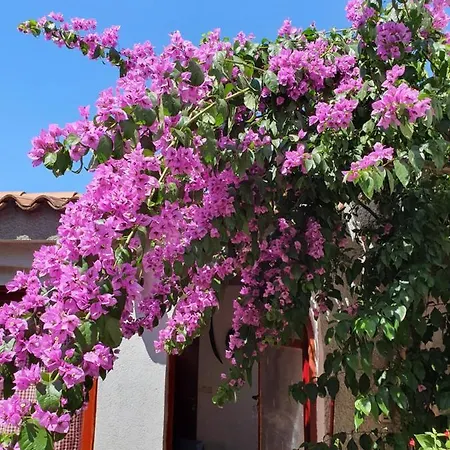 Kero New Value 2023 Fully Ac Poreč