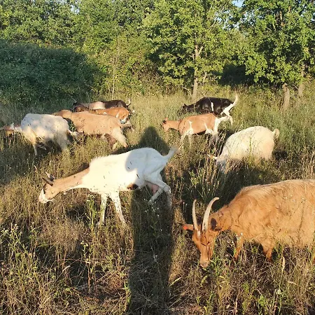 Kero New Value 2023 Fully Ac *