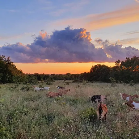 Kero New Value 2023 Fully Ac Apartament *