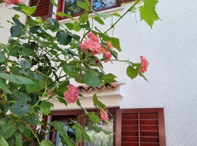 Kero New Value 2023 Fully Ac Poreč