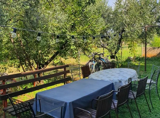 Kero New Value 2023 Fully Ac *