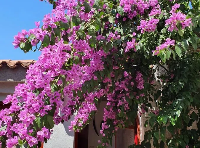 Kero New Value 2023 Fully Ac Porec