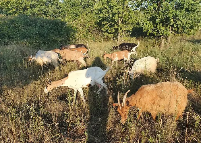 Kero New Value 2023 Fully Ac *