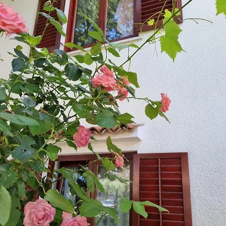 Kero New Value 2023 Fully Ac Porec